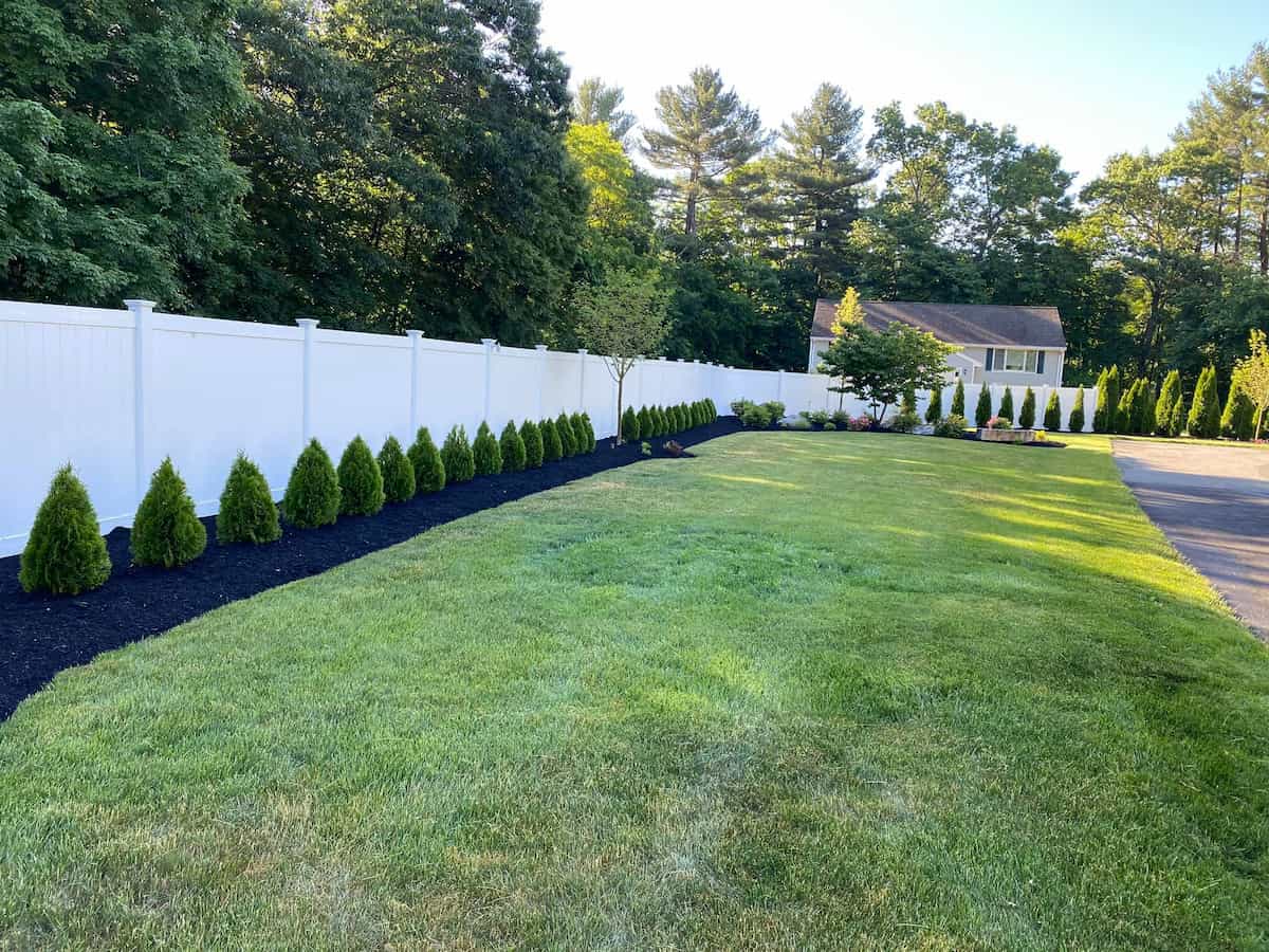 Bushes & Shrub Trimming