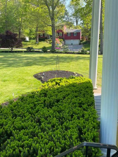 Landscape Design