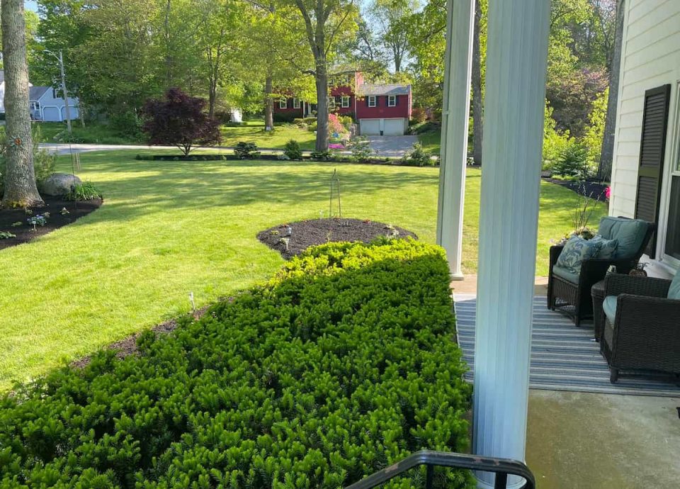 Landscape Design
