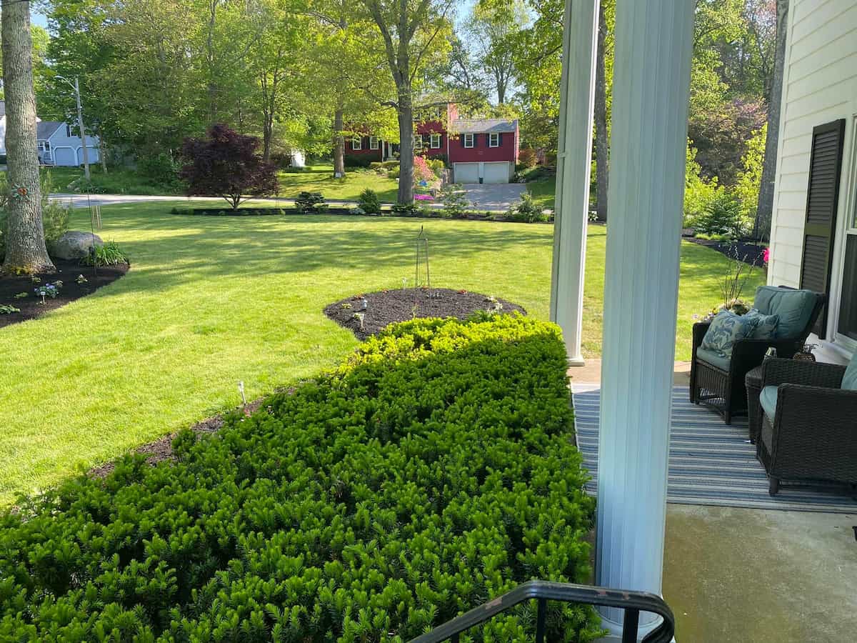 Landscape Design