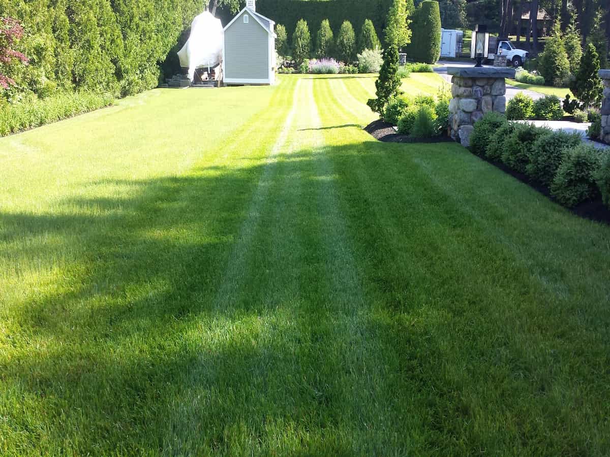 Landscape Maintenance