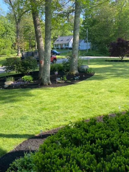 Landscaping