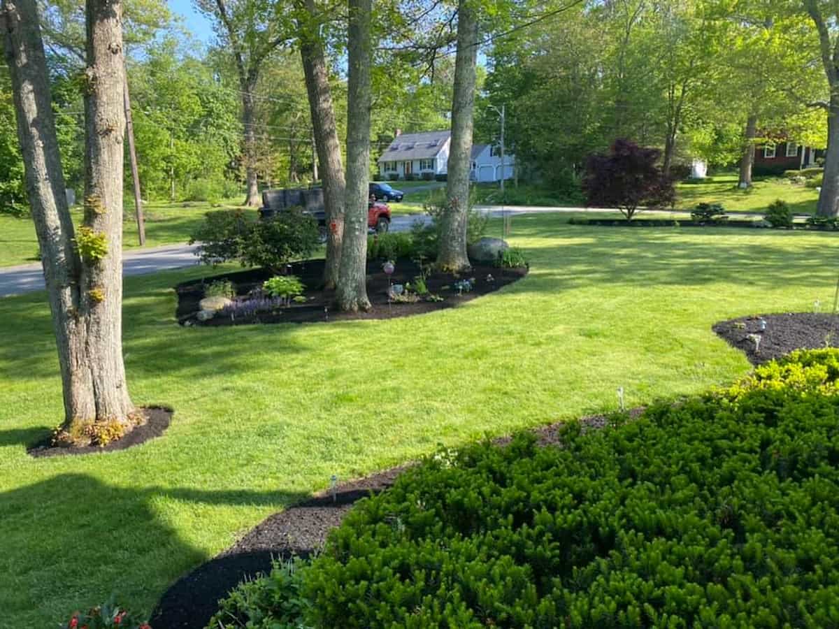 Landscaping
