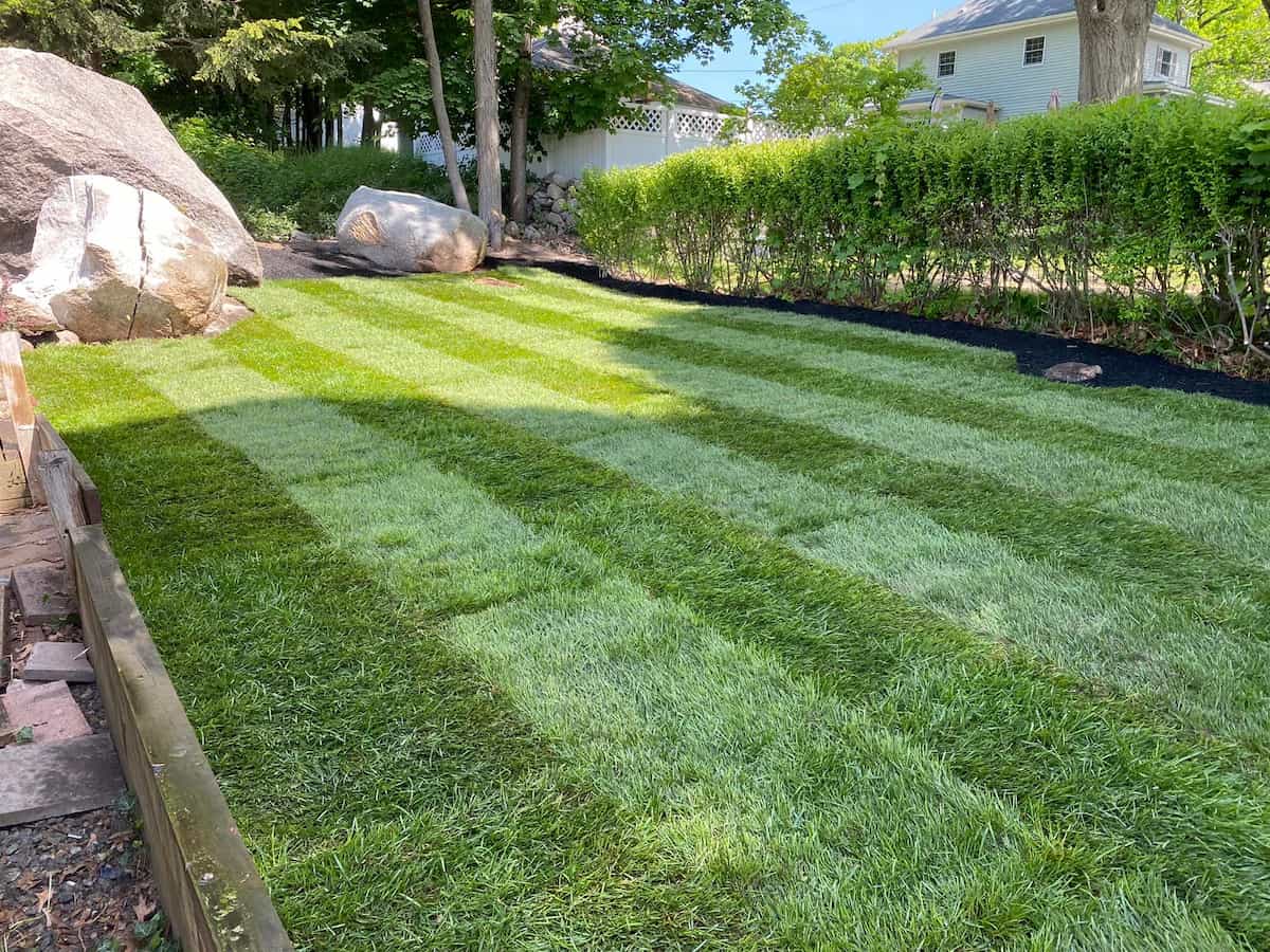 Lawn Care