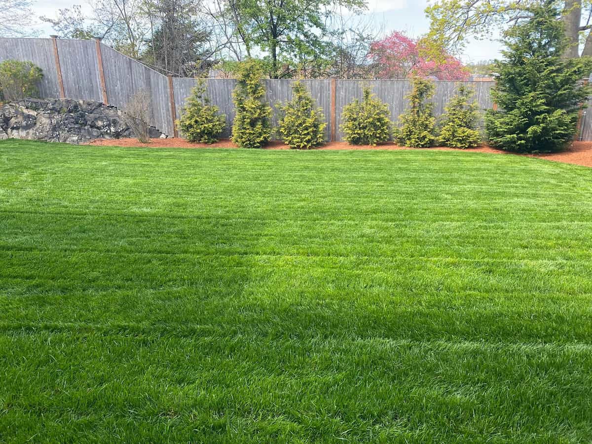 Lawn Mowing