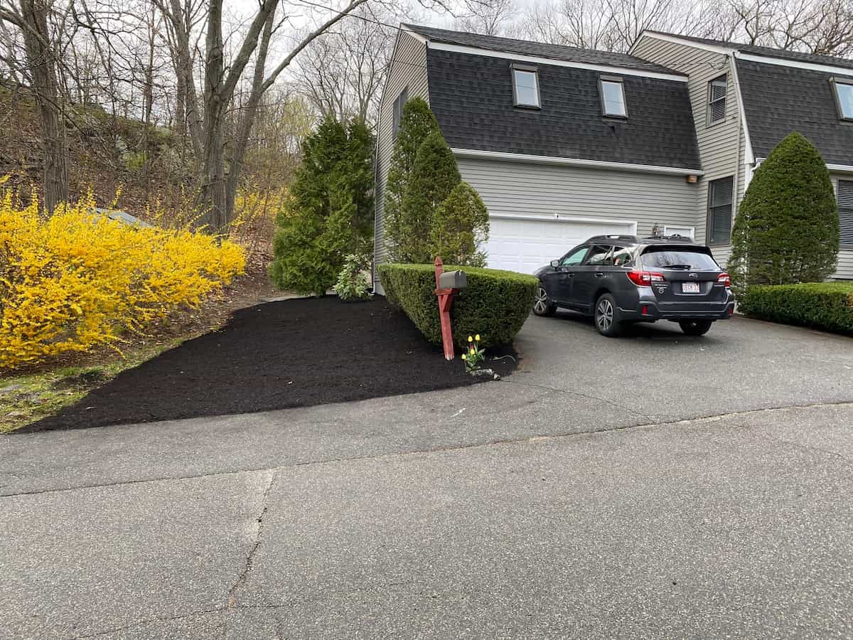Snow Removal